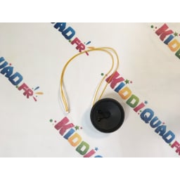 Enceinte audio pour BMW X6M 1 place