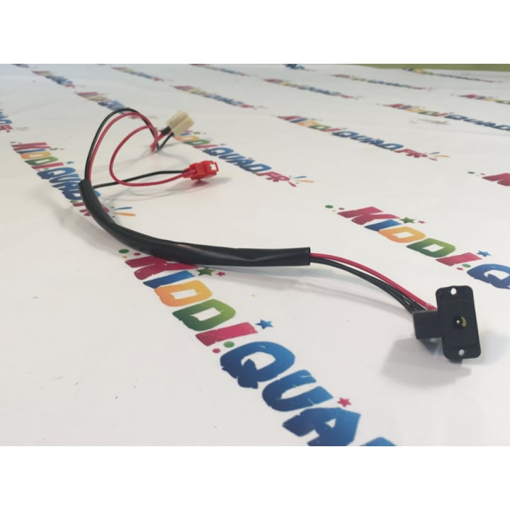 Port de charge pour Lamborghini SVJ 12V