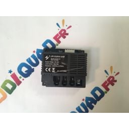 Boitier module de contrôle 24V 2,4Ghz pour Buggy Scorpion 24V