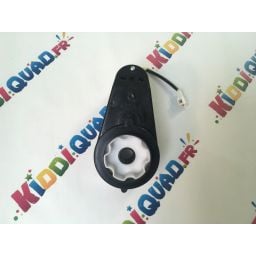 Moteur de roue pour Buggy Scorpion 24V