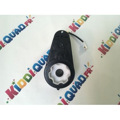 Moteur de roue pour Buggy Scorpion 24V