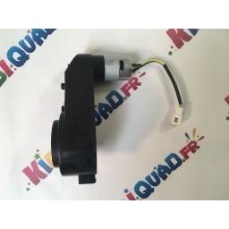 Moteur de roue pour Buggy Scorpion 24V