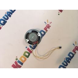 Enceinte pour Buggy Big Horn "Pro"