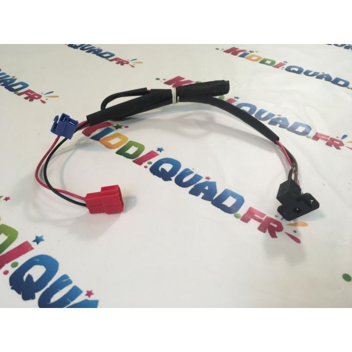 Port de charge pour Buggy UTV