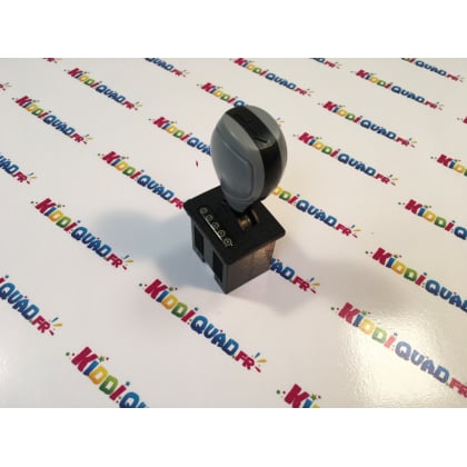 Levier de vitesse Buggy UTV-MX