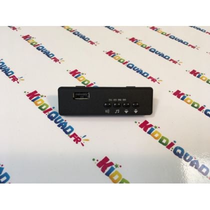 Interface MP3 12V pour Audi R8 Performance