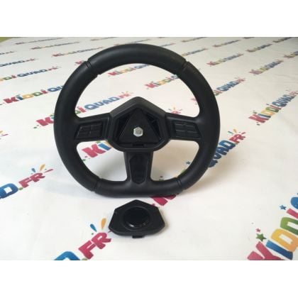 Ensemble volant et colonne de direction pour Buggy Big Horn "Pro" 24 Volts