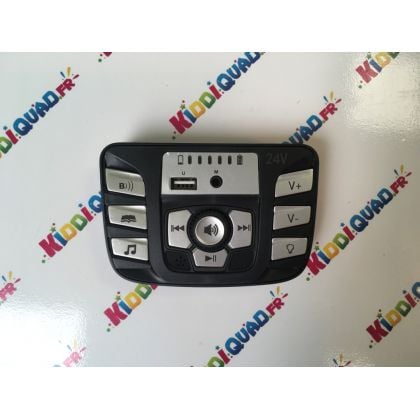 Interface Audio Buggy Big Horn Pro 24V