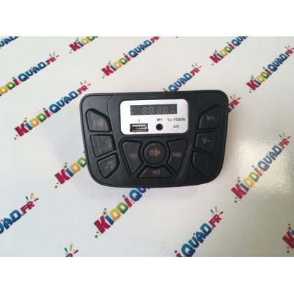 Interface Audio Buggy Badger Unlimited 24V