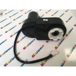 Moteur de roue pour Buggy Badger Unlimited