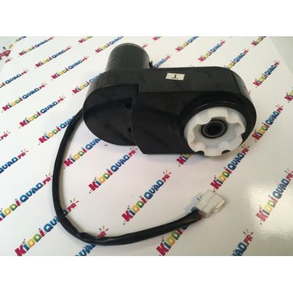 Moteur de roue pour Buggy Badger Unlimited