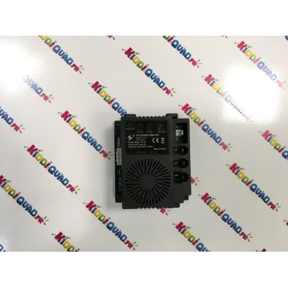 Boitier module de contrôle 24 Volts 2,4Ghz pour Buggy Can Am Maverick