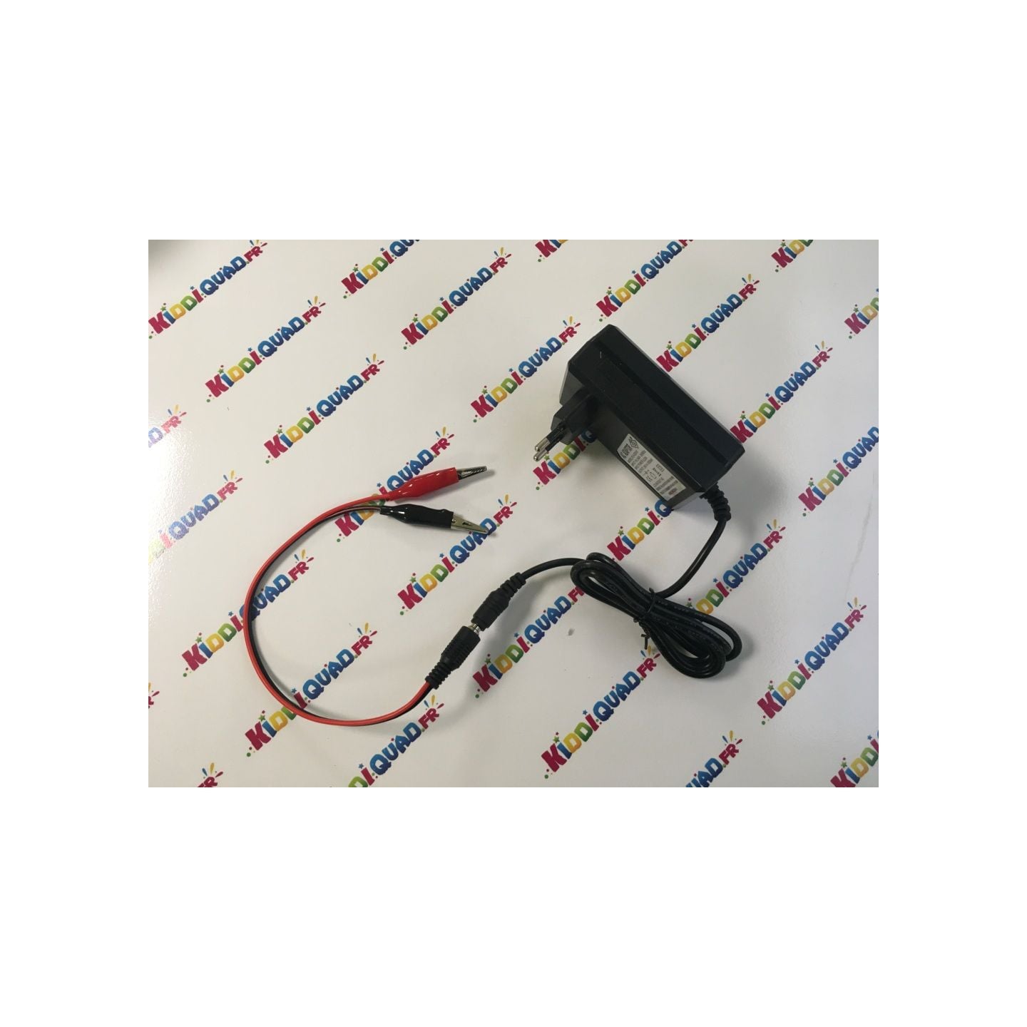 Chargeur de Batterie 24 Volts + adaptateur pinces