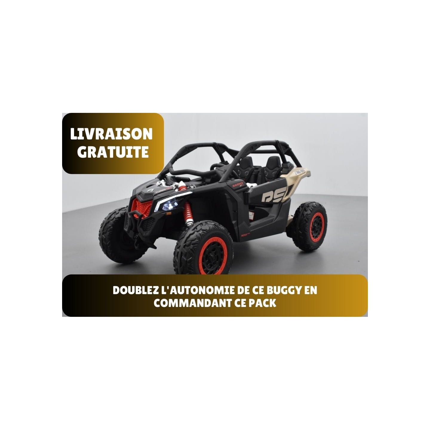 Pack Can-Am R.S + pack batterie + chargeur + housse + plaque