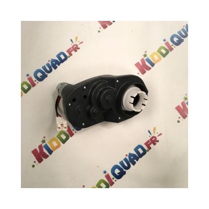 Moteur de roue pour Buggy Baja 24 Volts