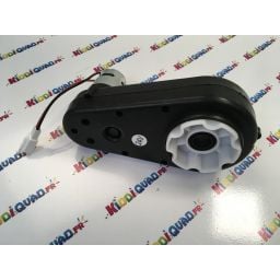 Moteur de roue 24V pour Quad CAN-AM Renegade