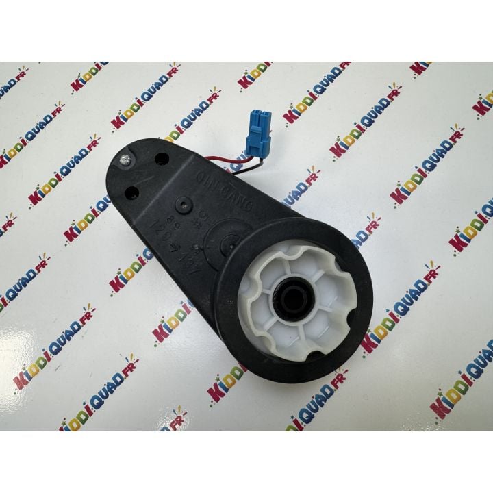 Moteur de roue gauche pour Buggy Big Horn 24V