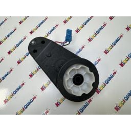 Moteur de roue gauche pour Buggy Big Horn 24V