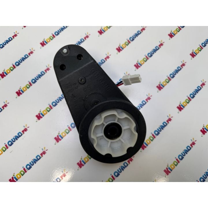 Moteur de roue droit pour Buggy Big Horn 24V