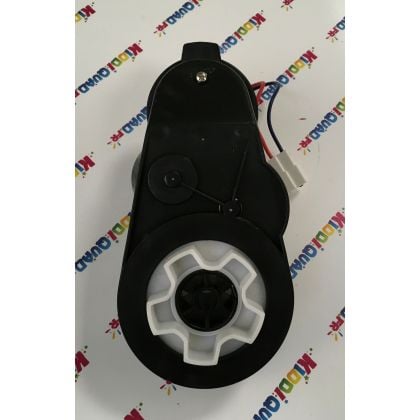 Moteur de roue pour buggy Yamaha RMAX2 12V
