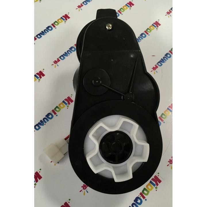 Moteur de roue pour buggy Yamaha Wolverine X2 24Volts