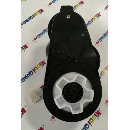 Moteur de roue pour buggy Yamaha Wolverine X2 24Volts