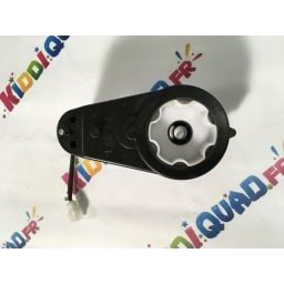 Moteur de roue avant pour Buggy Scorpion 24V