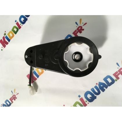 Moteur de roue avant pour Buggy Scorpion 24V