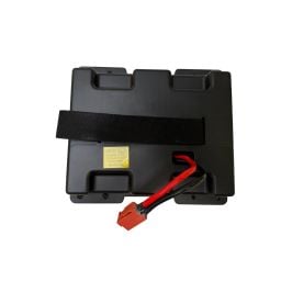 Pack batterie 24V - 14Ah complet pour Buggy UTV XXL 24 Volts