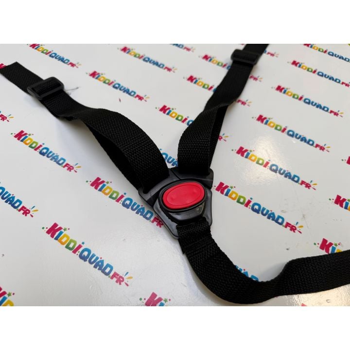 Ceinture harnais 3 points d'attache buggy Can Am Maverick