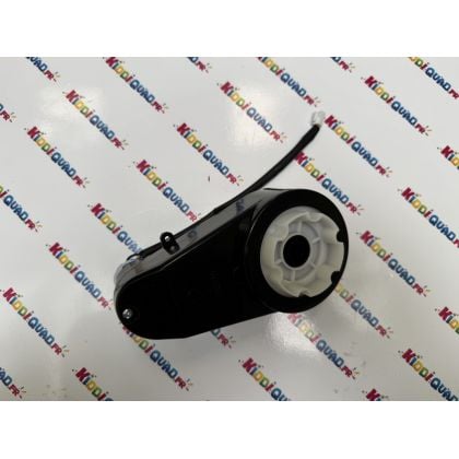 Moteur de direction pour Buggy UTV XXL 24V