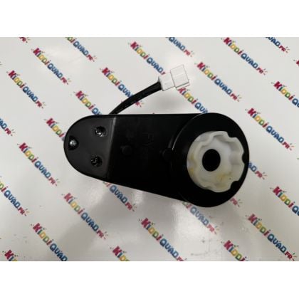 Moteur de roue côté "gauche" pour Buggy UTV XXL 24V