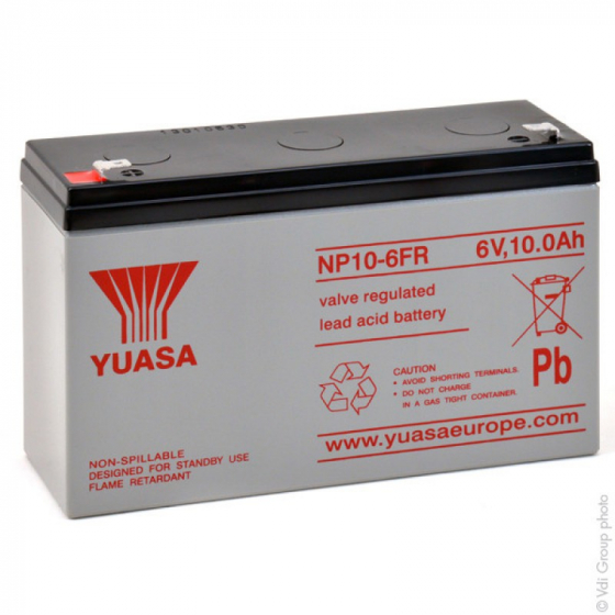 Chargeur de Batterie pour Véhicules Electriques 6V 10 ah - FEBER